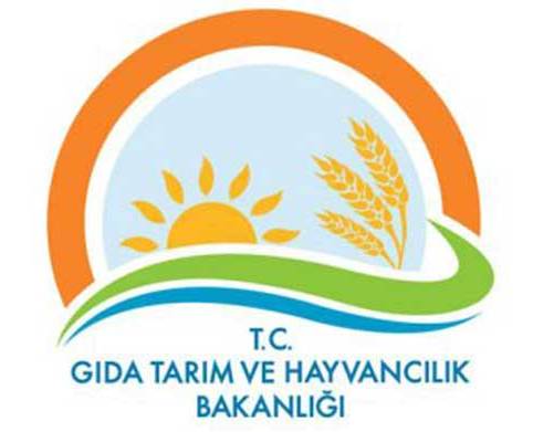 bakan.jpg